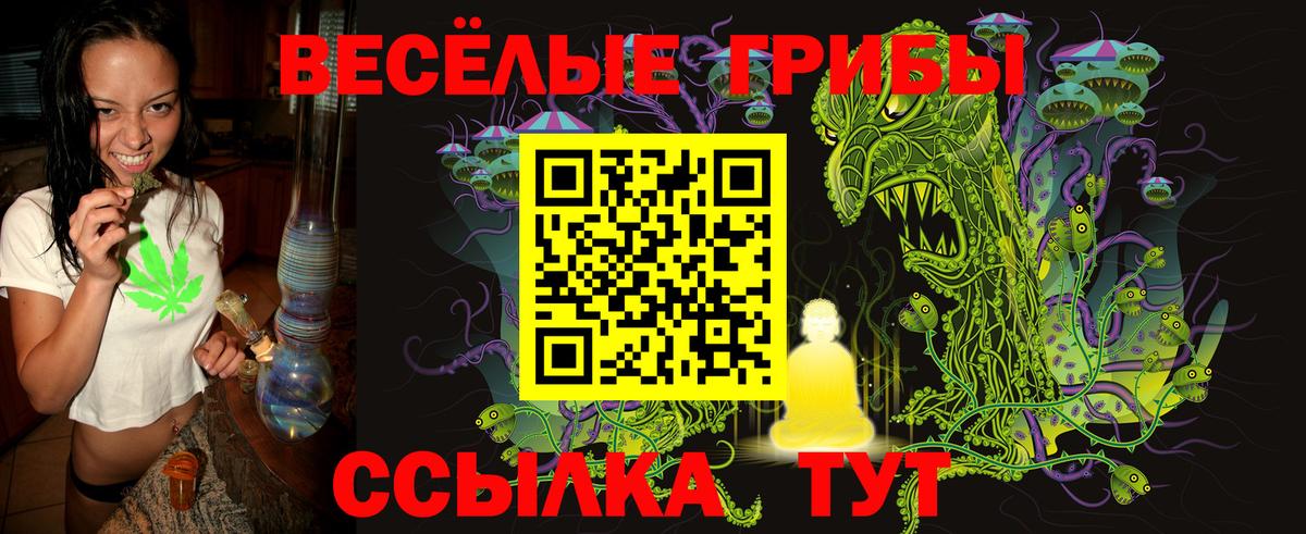Псилоцибиновые грибы Cubensis Североморск